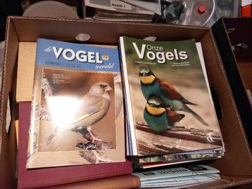 vogel bladen, algemeen en parkieten