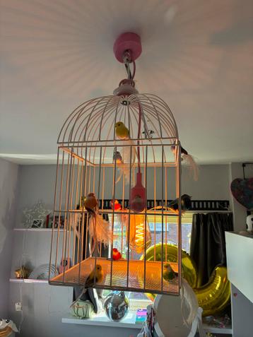 Vogelkooilamp kinderkamer