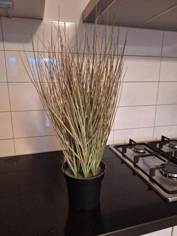 IKEA Fejka grasplant