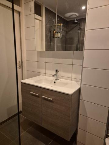 Gratis: badkamermeubel en spiegelkast