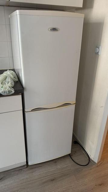 Gratis Everglades Koelkast met Vriesvak