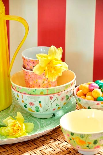 Rice Melamine Servies - Paascollectie