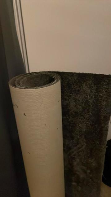 GRATIS 2 rollen grijs tapijt 7m2