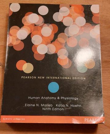 Human Anatomy & Physiology