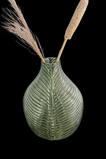 Leuke vaas met 2 droogbloemen