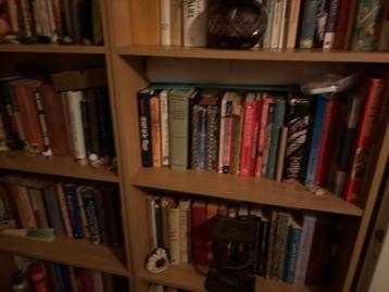 Boekenkasten