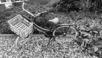 Meisjesfiets - Gevonden!