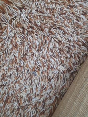 Prachtig Hoogpolig Vloerkleed Tapijt - ca. 2x3 meter