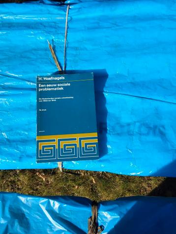 H. Hoefnagels - Een eeuw sociale problematiek