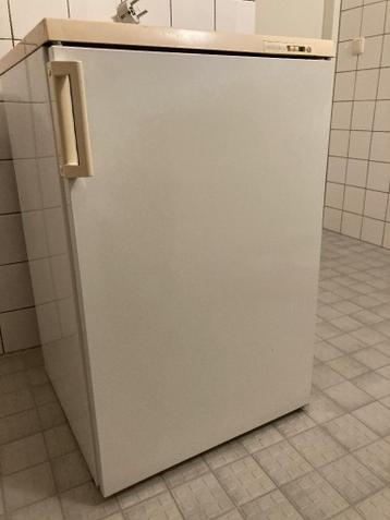 Zanussie tafelmodel diepvries