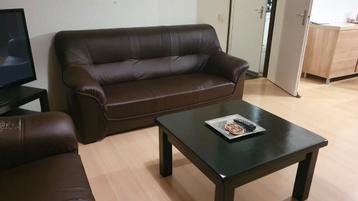 Love seat en 3 en 2 zits