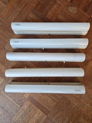 Philinea/ buislampen