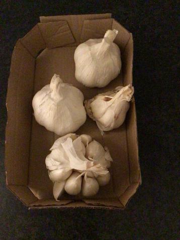 Teentjes knoflook