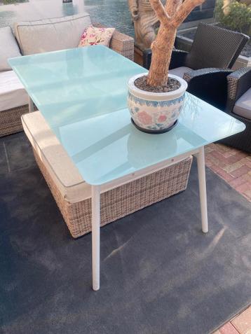 Glazen eettafel met metalen poten 160x80.
