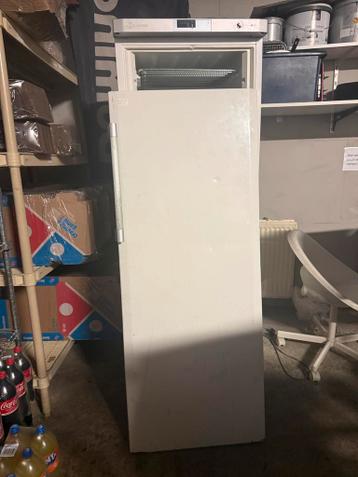 Vrieskast met defecte deur - Gratis af te halen