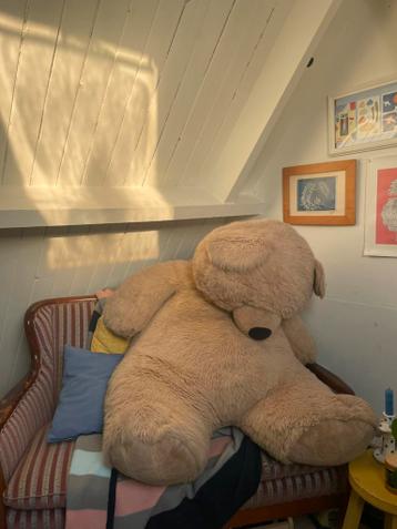 Grote knuffelbeer/zitzak