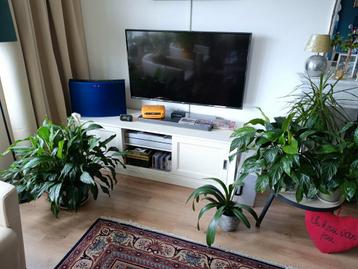 Televisie meubel in nette staat.