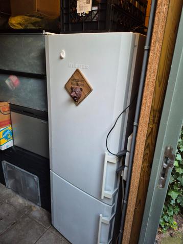 Gratis Liebherr koel/vries combi. Ophalen 14 of 15 maart