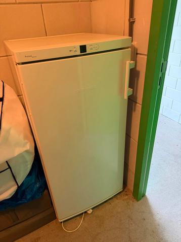 Liebherr Vrieskast - defect