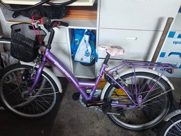 Gratis Batavus Meisjesfiets 22 inch