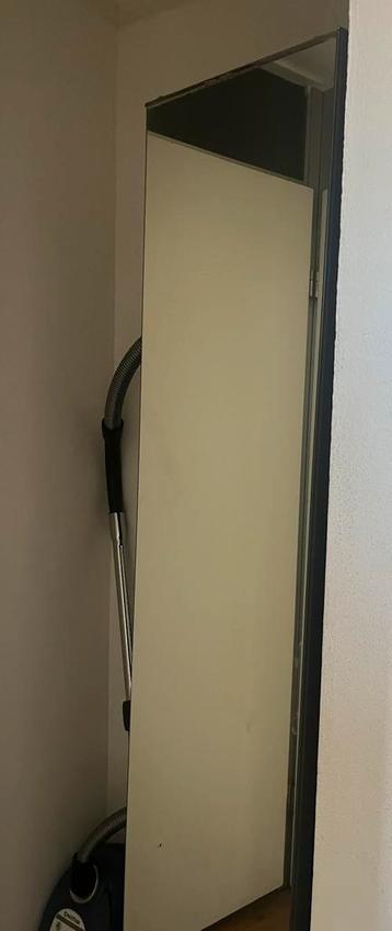 Spiegelkast met extra plankje - 192x40x33 cm