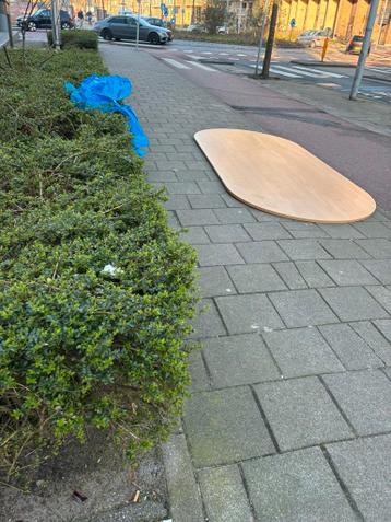 Tafelblad groot (gratis af te halen)