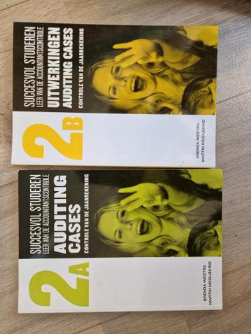 Breda Westra - Auditing Cases 2a en 2b