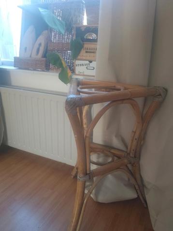 Japanse planten tafel bamboo