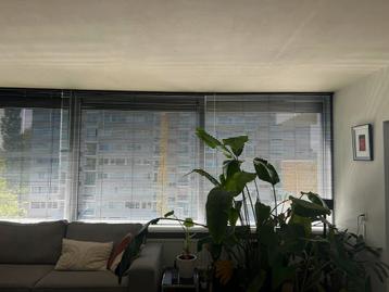 Gratis jaloezien / luxaflex 2 stuks