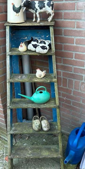 Decoratieve schildersladder voor huis en tuin