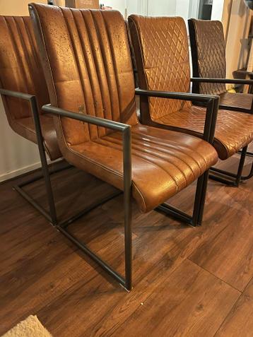 6 comfortabele stoelen met gebruikssporen (kat)