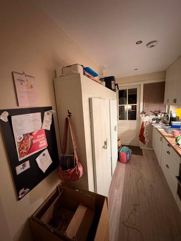 Grote, stevige kast van steigerhout