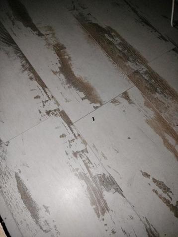 Gratis laminaat - 6 pakken nieuw, 55 m² gebruikt