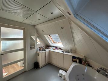 Complete badkamer met bubbelbad, douche en keukenblok