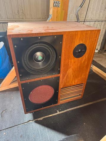 Vintage woofer