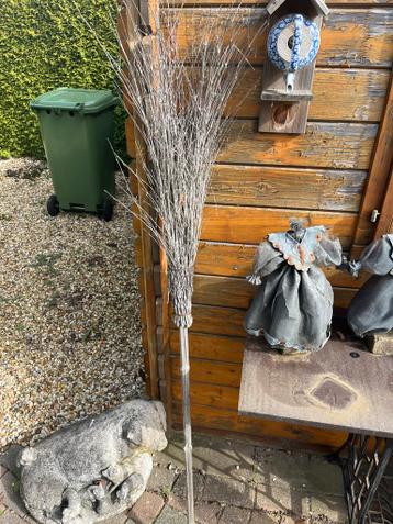 Decoratieve Heksenbezem