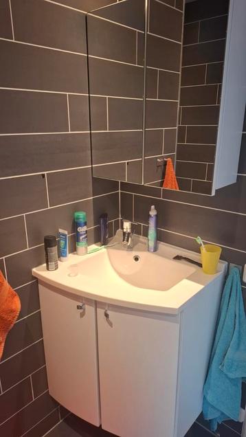 Badkamer meubels en accessoires GRATIS af te halen