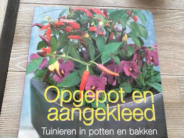 Adam Caplin -  Opgepot en aangekleed