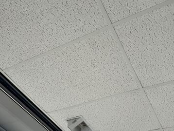 Gratis systeemplafond 1.250 m2 inclusief verlichting