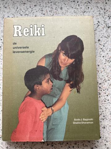 Reiki: De Universele Levensenergie - Bodo J. Baginski