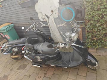 Sym Allo 2 stuks