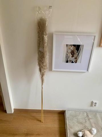 In ruil voor doosje thee: 3 nieuwe decoratie pluimen