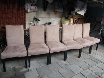 Eetkamerstoelen  kleur zie foto's.