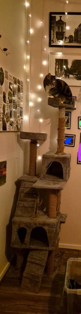 Krabpaal, gratis ophalen