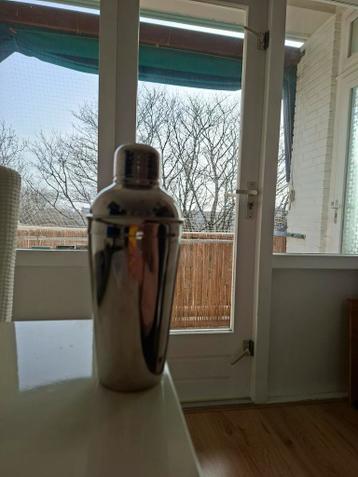 Stijlvolle cocktailshaker van roestvrij staal