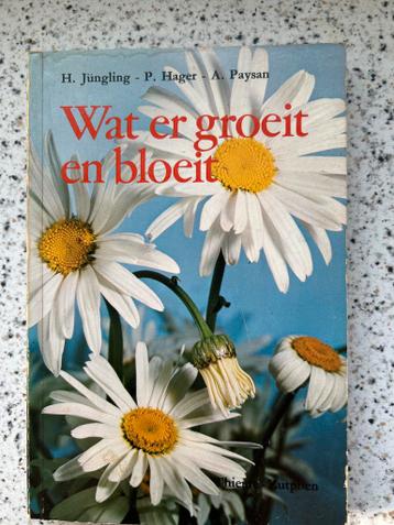 Wat er groeit en bloeit - Natuurgids