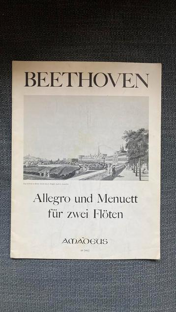 Bladmuziek fluit duetten