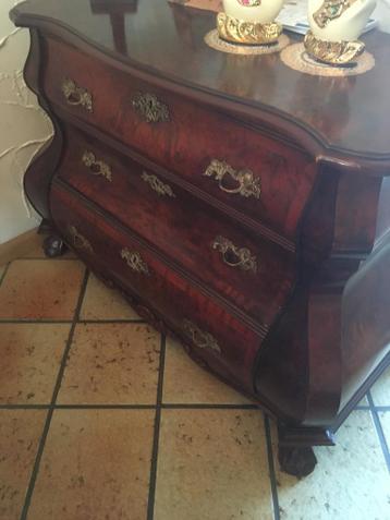 wortelnoten buikkastje