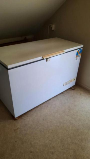 Grote Vriezer met inhoud. Gratis.