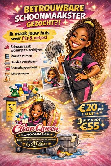 schoonmaak voorne aan zee en omstreken..